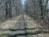 Cayuga County Trail; Fair Haven ducks